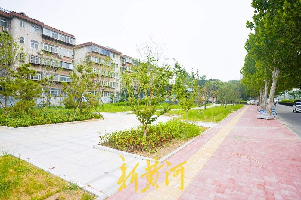 地铁施工围挡拆除 “还路透绿”建新景