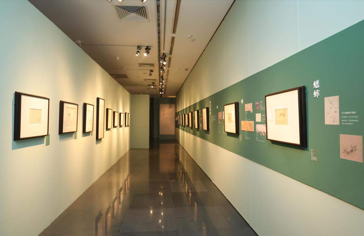 山东工艺美术学院本科生策展 “问虫”开展：重新发现齐白石