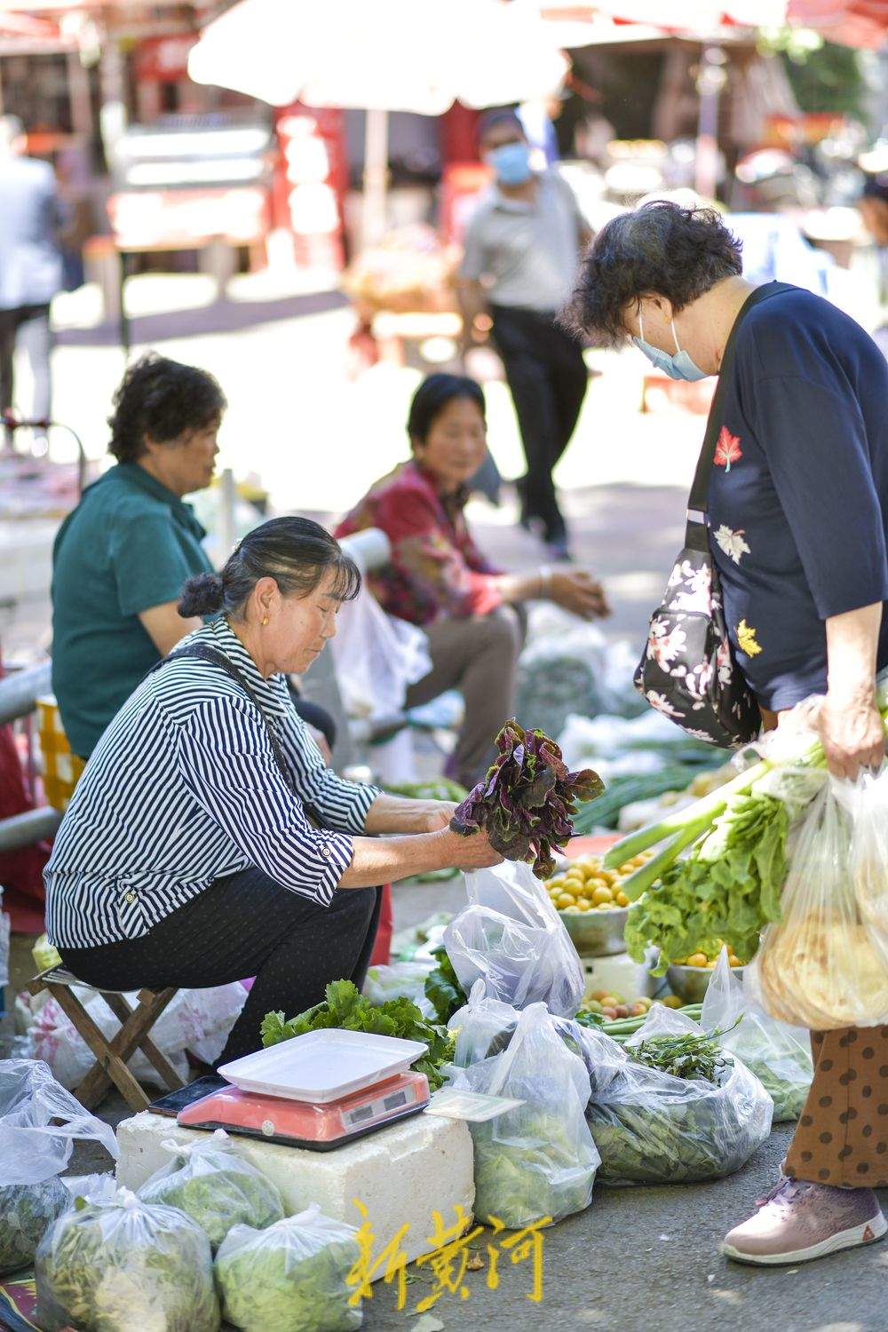 夏季水果“出山进城” 市区里的南山市集火起来
