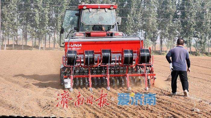 济南市秋种进度达60.87% 专家支招保障冬小麦苗情