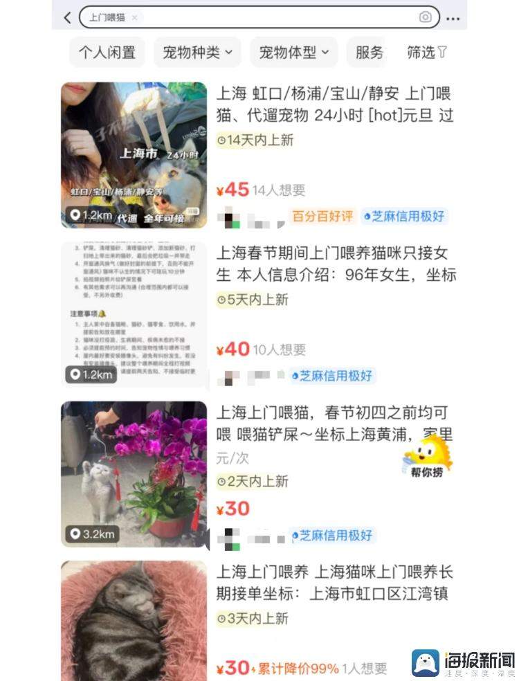 春节期间上门喂宠需求火热 有上门“铲屎官”预约排到年初七