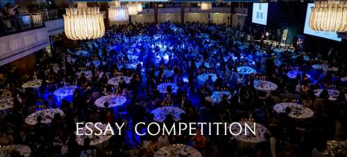 捷报!宏文学校青岛校区问鼎顶级学术论文竞赛,全球前3%斩获佳绩