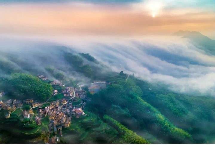 第一视点丨生态兴则文明兴——写在“绿水青山就是金山银山”理念提出20年之际