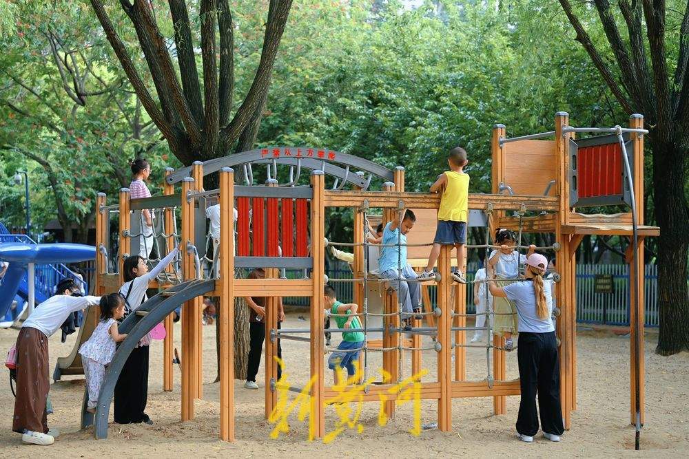 济南森林公园成遛娃宝地，绿荫里藏满清凉与欢笑