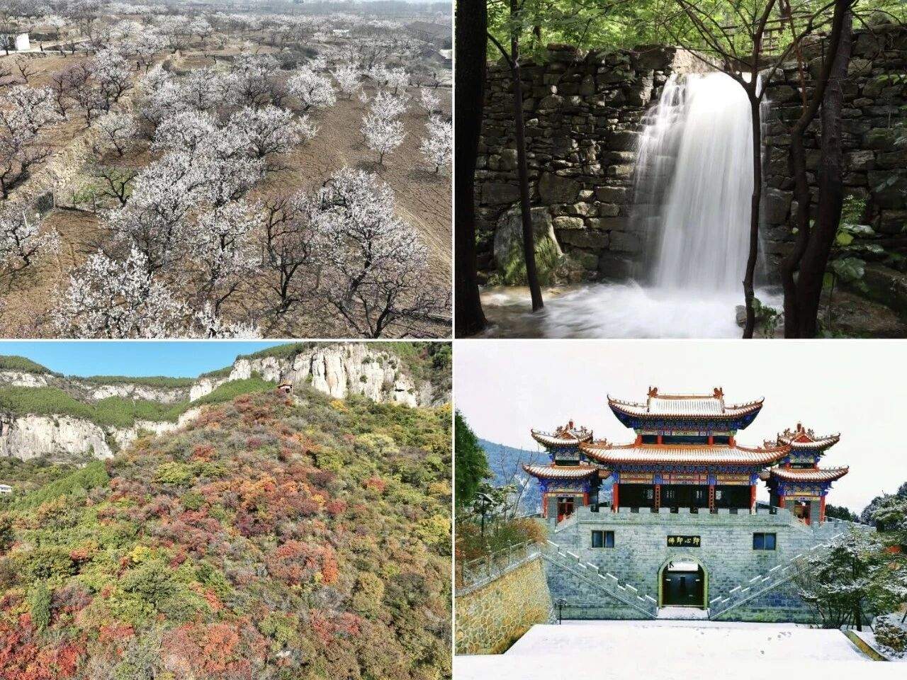 千年张夏的“出镜”底气从何而来？