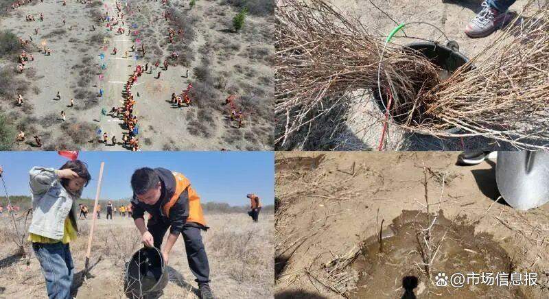 棘博士：沙棘不是“万能药”，但为何成为现代人的“健康守护者”？