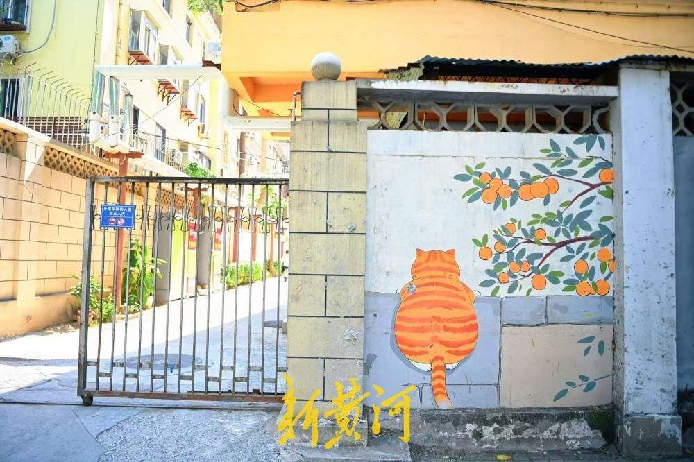 壁画猫咪上墙，点亮济南百年商埠街巷