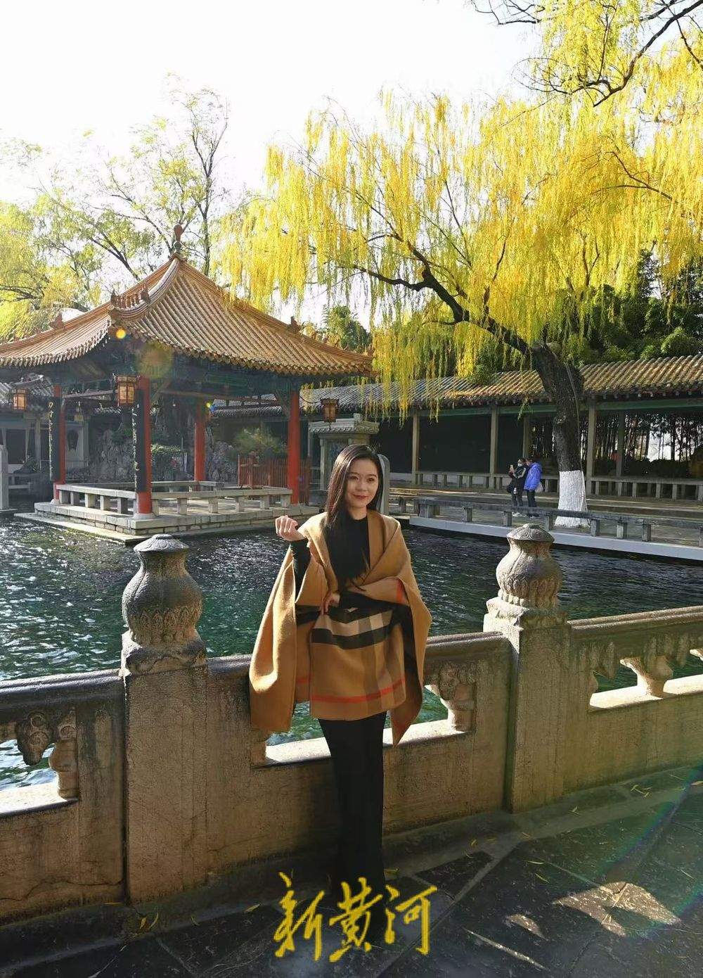 一年四季 泉在济南丨泉城仲冬暖如春 “趵突腾空”映金柳