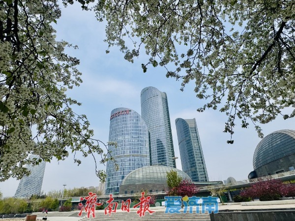 一树繁花映新城 腊河畔杜梨绽放绘春景