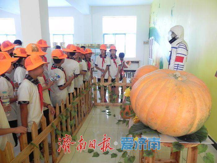 三级梯次培育 三体融合成长 三地功能定位 济南科技小院激活乡村振兴新引擎