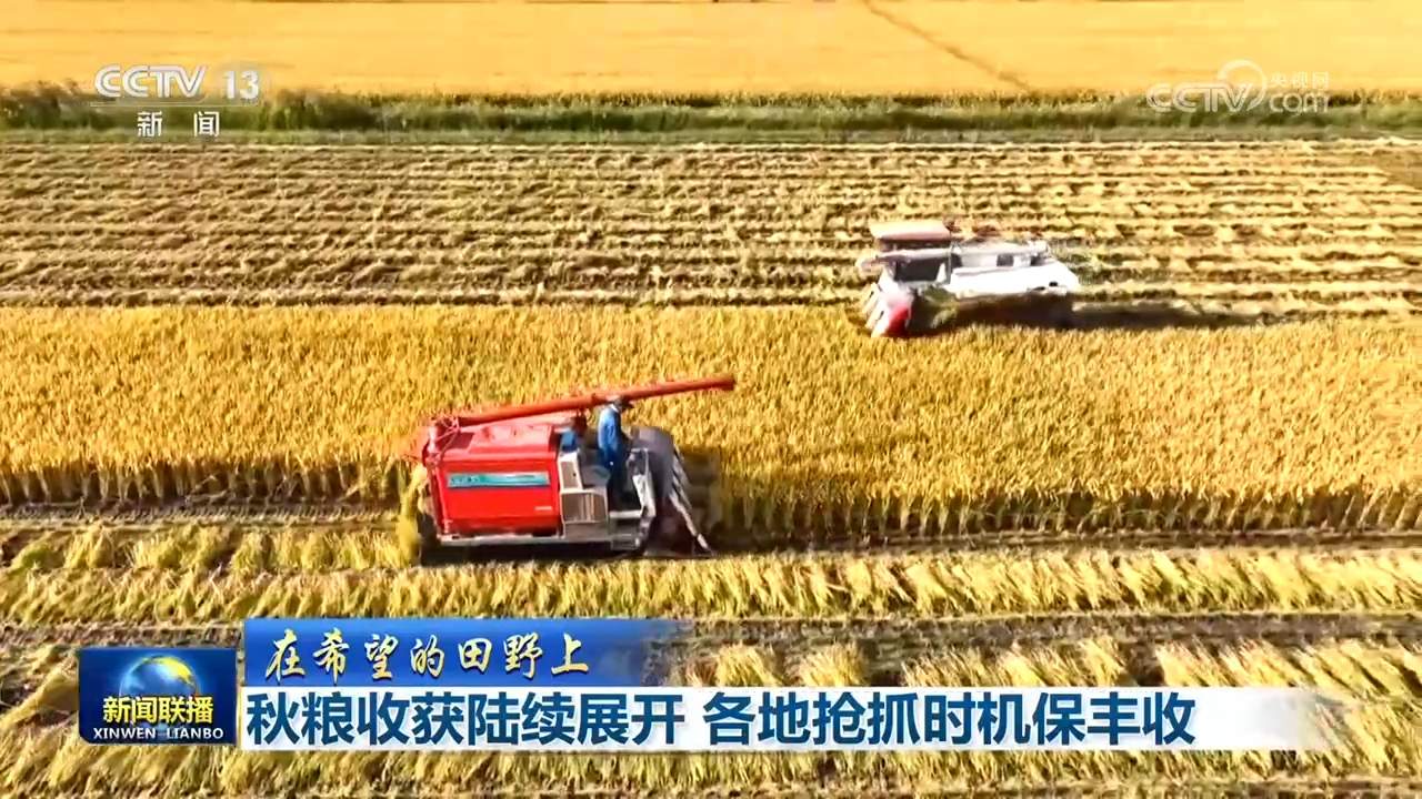 秋粮收获陆续展开 各地抢抓时机保丰收