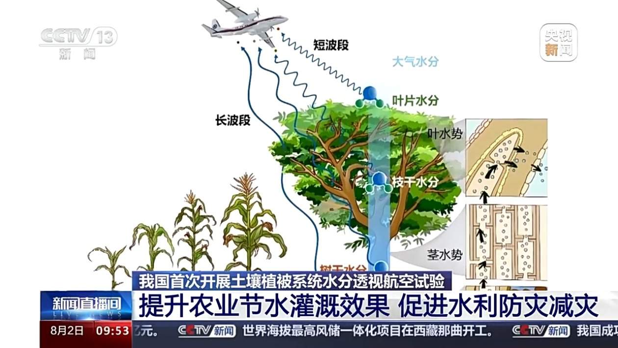 植被土壤内部含水量怎么测？我国首次开展这个试验