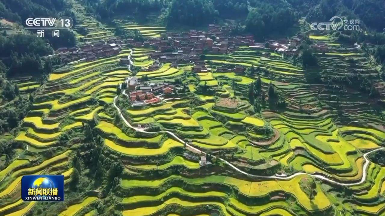 【新思想引领新征程·非凡“十四五”】我国农业农村现代化迈出坚实步伐