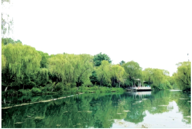 新发现李格非《廉先生序》北宋传播证据——兼谈李格非、李清照里籍研究中的问题（下）
