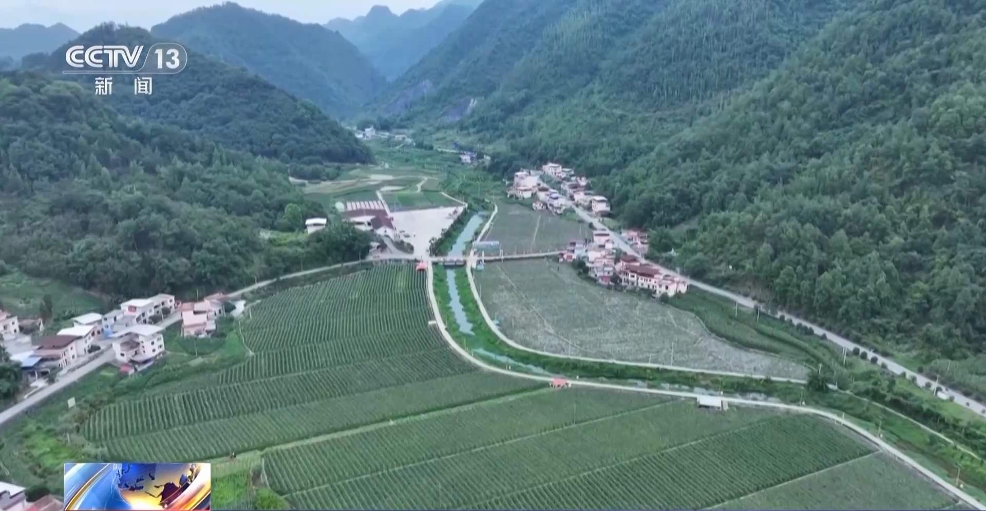 新品种新技术齐上阵 多地一片好“丰”景