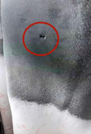 泸州一男子坐自家窗边玩耍遭枪击受重伤，官方：4人用气枪打鸟误伤人，已抓获