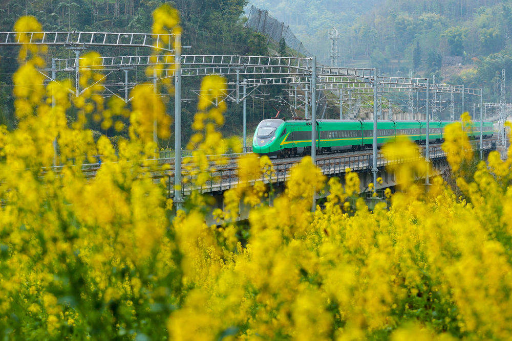 开往春天的列车，下一站：春和景明