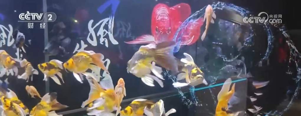 多地年货大集琳琅满目供销两旺 浓浓“烟火气”里喜迎新春佳节